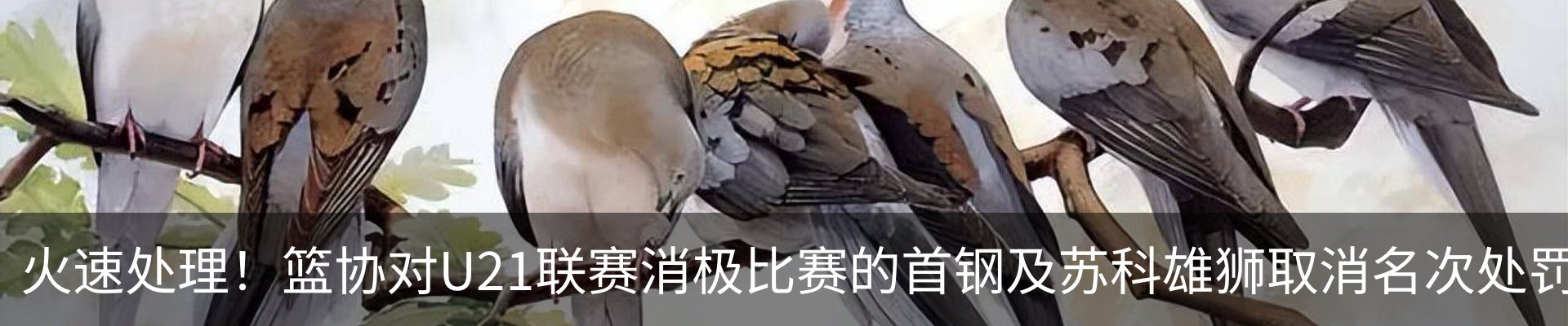资讯动态